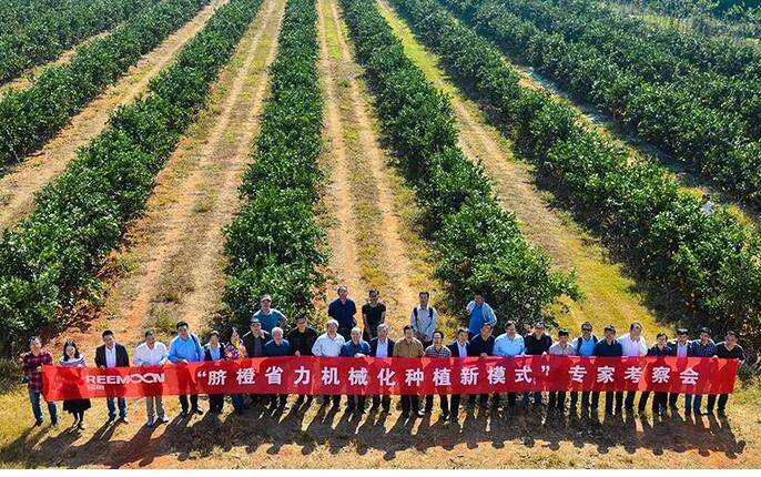 綠萌水果分選設(shè)備可進(jìn)行重量大小分級(jí)、顏色、瑕疵外觀視覺(jué)分選，無(wú)損檢測(cè)糖度，甜度，酸度、空心、浮皮、褐變、果肉損傷等內(nèi)部指標(biāo)檢測(cè)，提供智能全自動(dòng)臍橙分選機(jī),臍橙分選設(shè)備,臍橙選果機(jī),臍橙選果設(shè)備,臍橙分級(jí)機(jī),臍橙稱重分揀機(jī),臍橙大小直徑選果，臍橙采后分選方案和價(jià)格