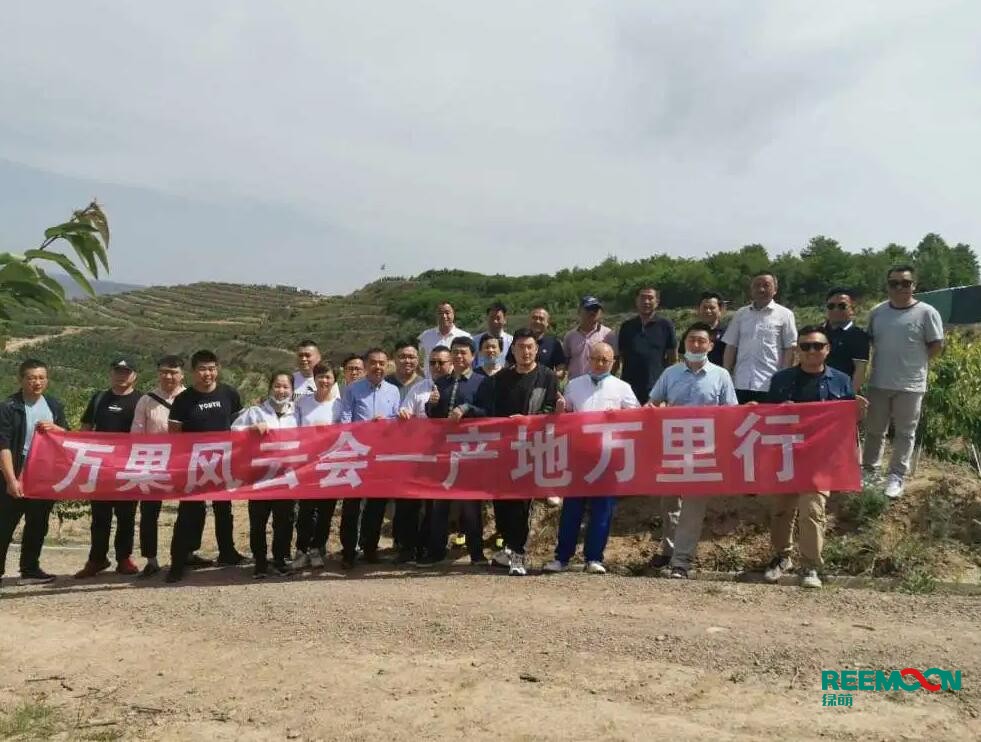 綠萌自動(dòng)化櫻桃分選設(shè)備亮相甘肅天水引起各界廣泛關(guān)注 5月29日，綠萌櫻桃自動(dòng)化分揀生產(chǎn)線在甘