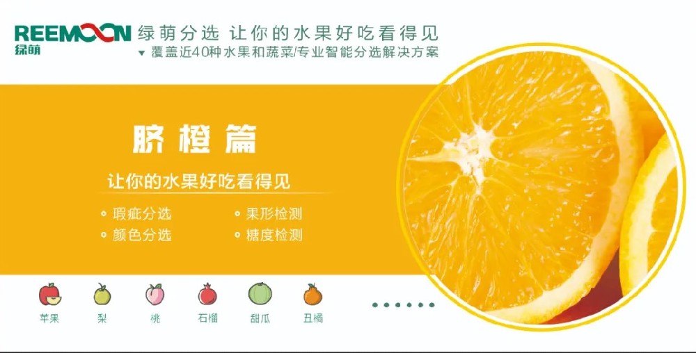 糖度可視化 好吃看得見【臍橙篇】來源：客家新聞網(wǎng)訊 記者何亮報(bào)道據(jù)悉，2019年，贛州市臍橙種植面積達(dá)到162萬畝、產(chǎn)量122萬噸，產(chǎn)值129億元。?20多年前，一批和新奇士品質(zhì)相近的贛南臍橙，用低于新奇士一半的價(jià)格出售，銷量卻并不見得比新奇士好。如今，贛南臍橙產(chǎn)值129億元，是什么讓贛南臍橙聲名鵲起？綠萌臍橙果表瑕疵