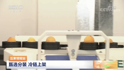 連線采訪＋現(xiàn)場直播7月20日CCTV農(nóng)業(yè)農(nóng)村頻道、央視頻APP深度報(bào)道湖北老河口黃桃產(chǎn)業(yè)發(fā)展情況綠萌作為果蔬智能科技分選企業(yè)憑借AI（人工智能）算法以及光譜技術(shù)為老河口黃桃產(chǎn)業(yè)賦能而亮相央視在此之前綠萌因?yàn)橹袊卟珊髽?biāo)準(zhǔn)建設(shè)賦能已經(jīng)多次亮相于央視黃桃作為老河口的“富農(nóng)果”，身肩重任。全市3.5萬畝黃桃如何打造價(jià)格